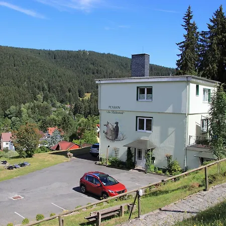 Am Waldesrand 3*