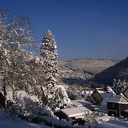 Gasthof Am Waldesrand Ilmenau