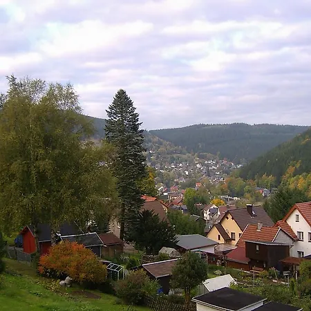 Am Waldesrand Ilmenau