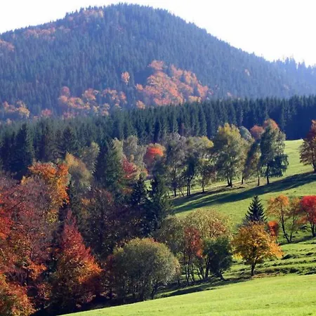 Πανσιόν Am Waldesrand Ilmenau