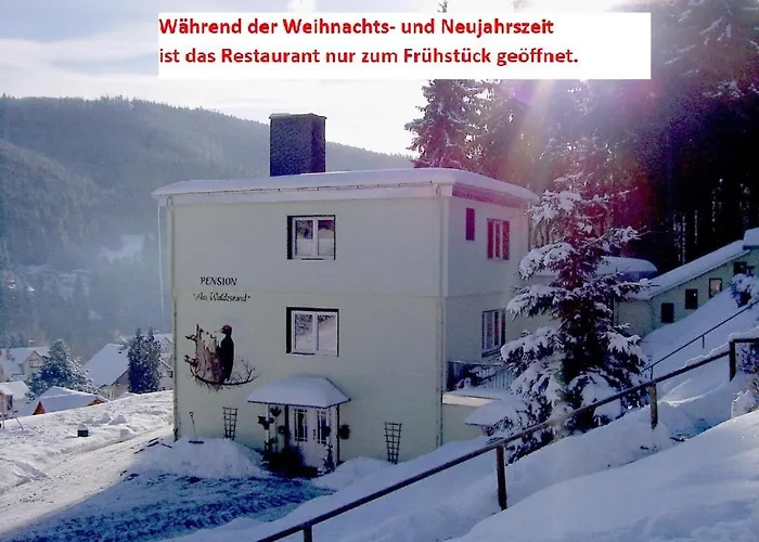 Konukevi Am Waldesrand 3*