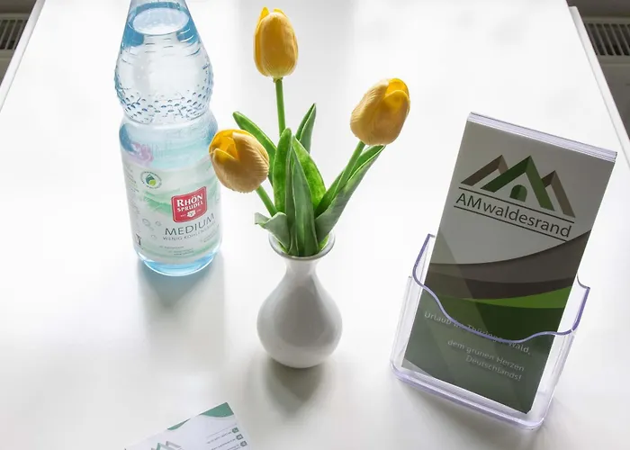 Am Waldesrand Ilmenau