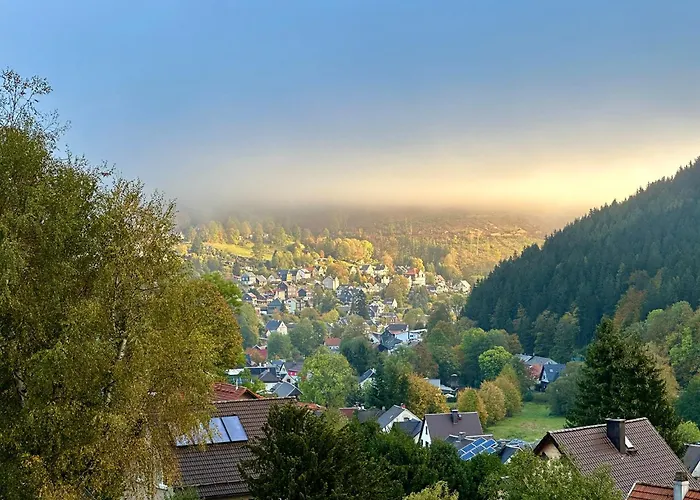 Am Waldesrand 3* Ilmenau