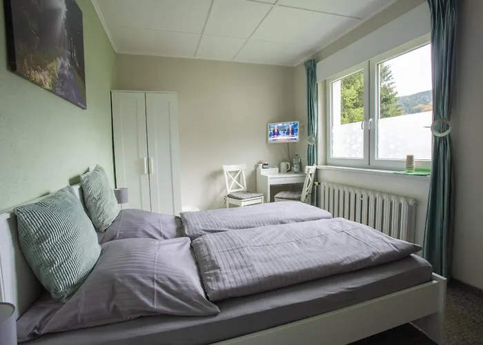 Am Waldesrand Ilmenau