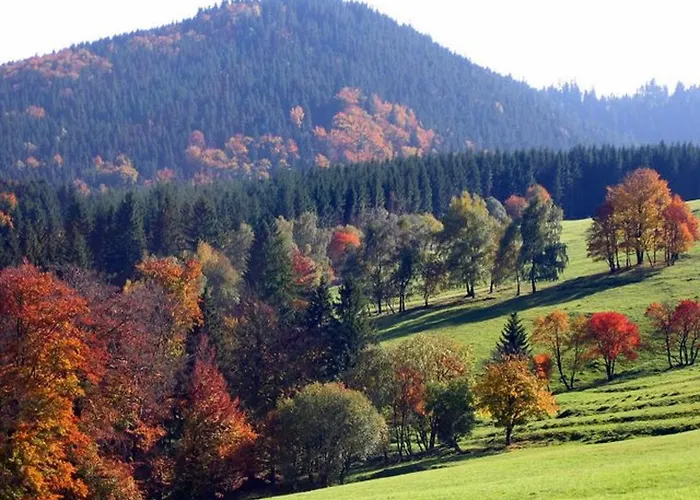 Πανσιόν Am Waldesrand Ilmenau